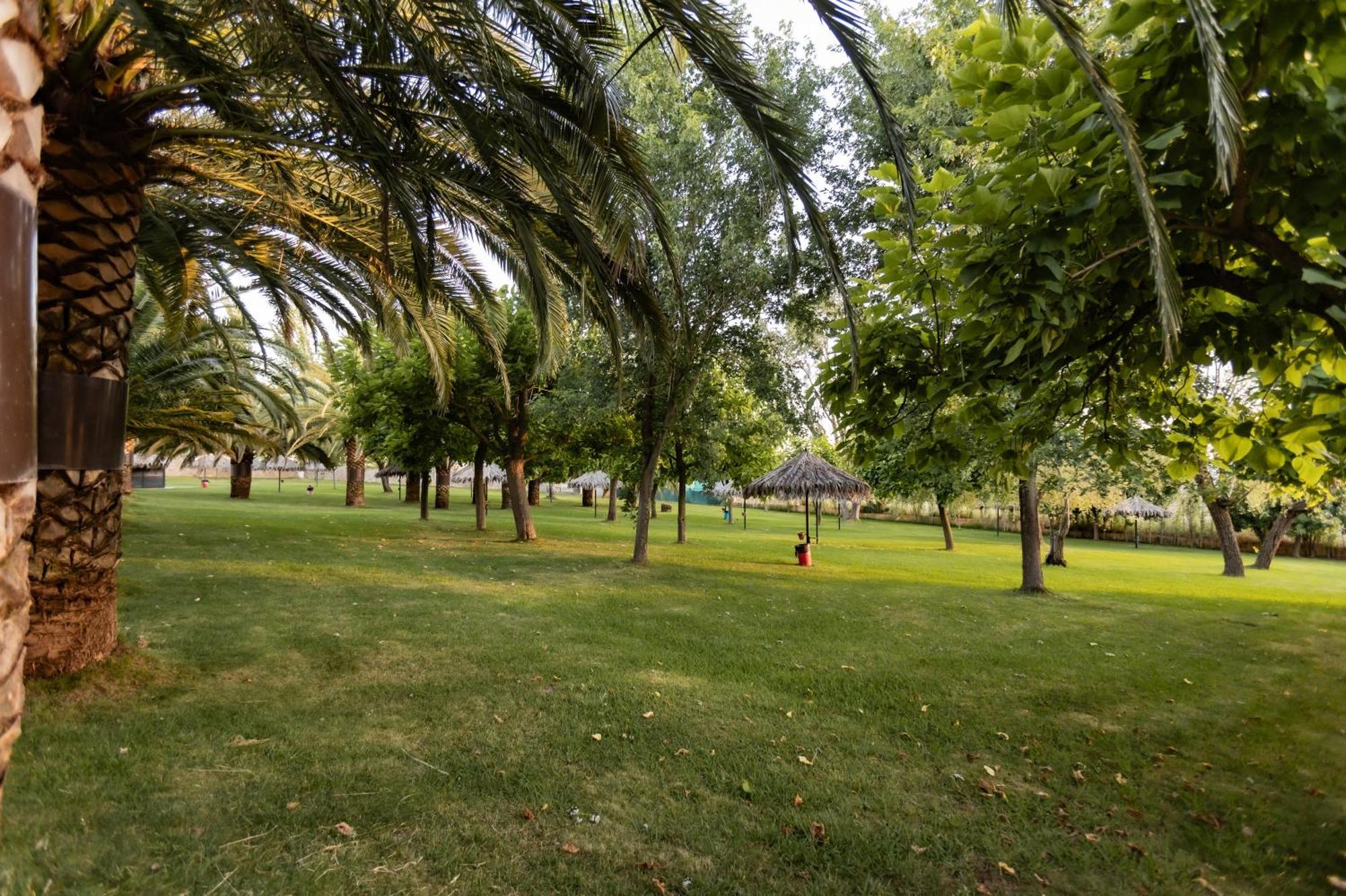 Holiday park Hostal - Bungalows Camping Caceres Caceres